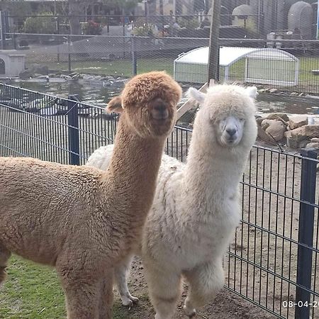 De Dierenweiden Goedereede Экстерьер фото